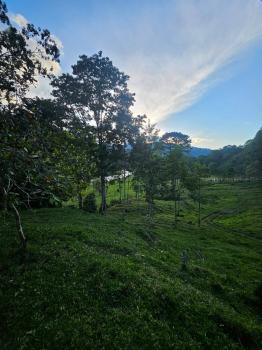 Fincas Uso Mixto en venta en San Juan Norte, Turrialba, Cartago, Costa Rica — foto 5