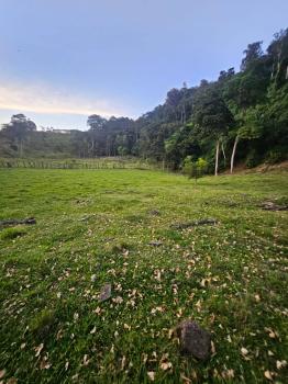 Fincas Uso Mixto en venta en San Juan Norte, Turrialba, Cartago, Costa Rica — foto 6