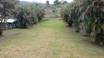 Terreno General en venta en Sabalito, Coto Brus, Puntarenas, Costa Rica — foto 2