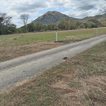 Lotes en Condominio Privado en la Florida de Nicoya