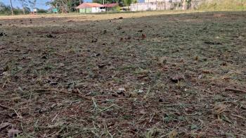 Terreno Comercial en venta en La Fortuna, San Carlos, Alajuela, Costa Rica — foto 5