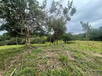 Cattle Ranch for sale in Carara, Turrubares, San José, Costa Rica — photo 2