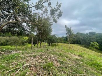 Cattle Ranch for sale in Carara, Turrubares, San José, Costa Rica — photo 3