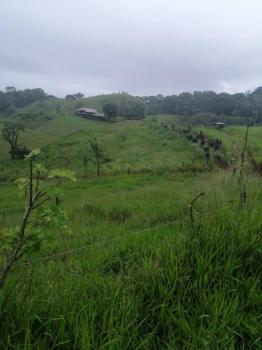 Cattle Ranch for sale in Carara, Turrubares, San José, Costa Rica — photo 5