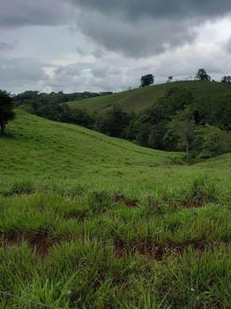 Cattle Ranch for sale in Carara, Turrubares, San José, Costa Rica — photo 6