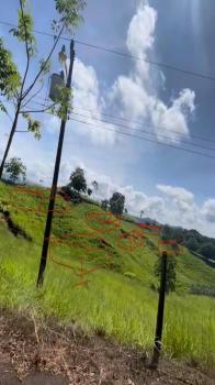 Cattle Ranch for sale in Carara, Turrubares, San José, Costa Rica — photo 7