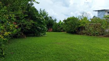 Lote Plano Con Frutales y Excelente Ubicacion en Pérez Zeledón