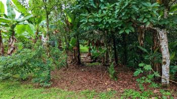 Residential Lot for sale in Miraflores, Pérez Zeledón, San José, Costa Rica — photo 3