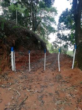 Terreno General en venta en Villa Nueva, Quepos, Puntarenas, Costa Rica — foto 2