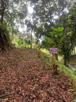 Terreno General en venta en Villa Nueva, Quepos, Puntarenas, Costa Rica — foto 3
