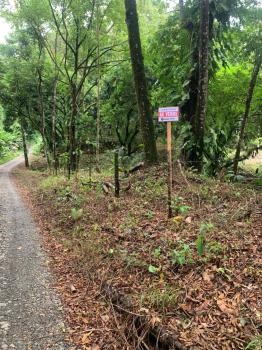 Terreno General en venta en Villa Nueva, Quepos, Puntarenas, Costa Rica — foto 4