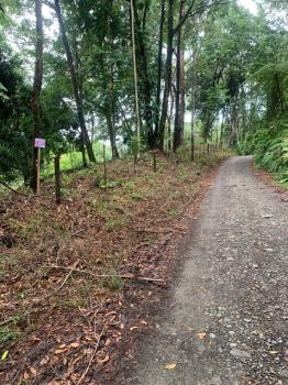 Terreno General en venta en Villa Nueva, Quepos, Puntarenas, Costa Rica — foto 6