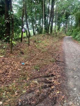 Terreno General en venta en Villa Nueva, Quepos, Puntarenas, Costa Rica — foto 7