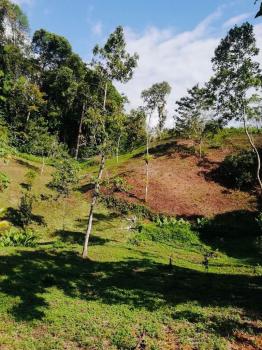 Propiedad de Montaña en Villa Nueva de Quepos