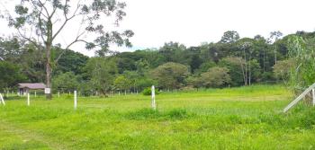 Terreno General en venta en Río San José, Sarapiquí, Heredia, Costa Rica — foto 2