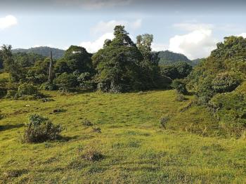 Mixed Use Land for sale in Sector Cubujuquí, Horquetas, Sarapiquí, Heredia, Costa Rica — photo 2