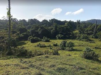 Mixed Use Land for sale in Sector Cubujuquí, Horquetas, Sarapiquí, Heredia, Costa Rica — photo 3