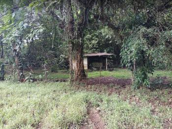 Mixed Use Land for sale in Sector Cubujuquí, Horquetas, Sarapiquí, Heredia, Costa Rica — photo 5