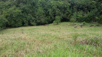 Se Vende Finca en San Pedro de Pérez Zeledón Costa Rica