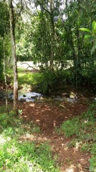 Mixed Use Land for sale in San Pedro, Pérez Zeledón, San José, Costa Rica — photo 5