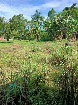 Mixed Use Land for sale in San Pedro, Pérez Zeledón, San José, Costa Rica — photo 7