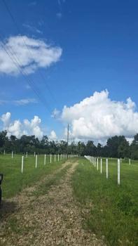 Raw Land for sale in La Fortuna, San Carlos, Alajuela, Costa Rica — photo 3