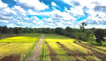 Raw Land for sale in La Fortuna, San Carlos, Alajuela, Costa Rica — photo 4