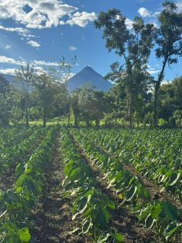 Terreno General en venta en La Fortuna, San Carlos, Alajuela, Costa Rica — foto 2