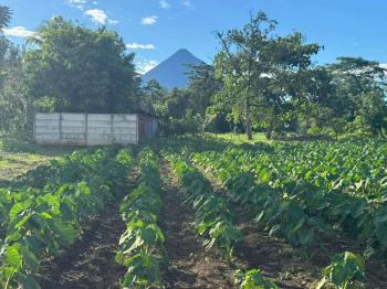 Terreno General en venta en La Fortuna, San Carlos, Alajuela, Costa Rica — foto 3