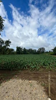 Terreno General en venta en La Fortuna, San Carlos, Alajuela, Costa Rica — foto 4