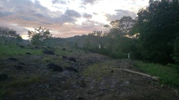 Terreno General en venta en Pejibaye, Perez Zeledon, Pérez Zeledón, San José, Costa Rica — foto 3