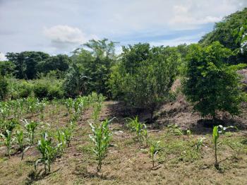 Terreno General en venta en Pejibaye, Perez Zeledon, Pérez Zeledón, San José, Costa Rica — foto 5