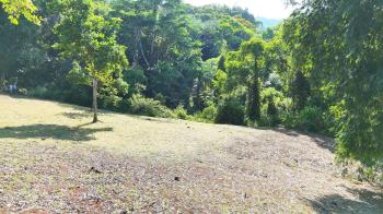 Terreno General en venta en San Salvador, Barú, Pérez Zeledón, San José, Costa Rica — foto 3