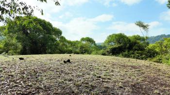 Terreno General en venta en San Salvador, Barú, Pérez Zeledón, San José, Costa Rica — foto 5