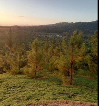 Casa una Planta en venta en Piedras Blancas, Osa, Puntarenas, Costa Rica — foto 3