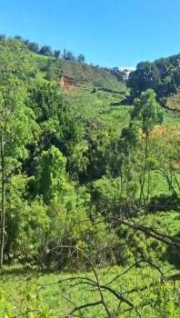 Bella Finca Varios Usos en Tabarcia de Mora, San José
