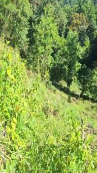 Fincas Uso Mixto en venta en Tabarcia, Mora, San José, Costa Rica — foto 2