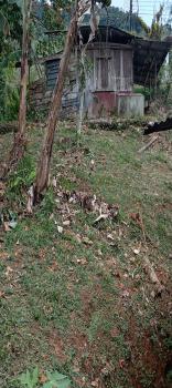 Terreno Para Vivienda en venta en Santo Domingo San Pedro, Pérez Zeledón, San José, Costa Rica — foto 3