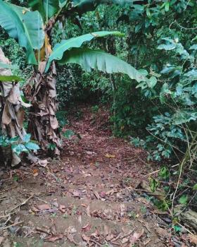Terreno General en venta en Santa Rosa De Río Nuevo, Pérez Zeledón, San José, Costa Rica — foto 3