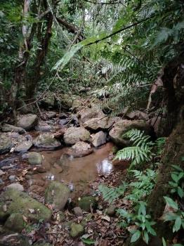 Terreno General en venta en Santa Rosa De Río Nuevo, Pérez Zeledón, San José, Costa Rica — foto 5