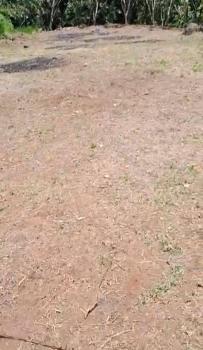 Terreno General en venta en Santa Rosa De Río Nuevo, Pérez Zeledón, San José, Costa Rica — foto 6