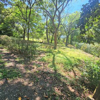 Terreno Para Vivienda en venta en Playa Junquillal, Santa Cruz, Guanacaste, Costa Rica — foto 3