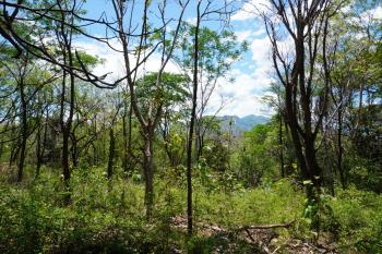 Terreno para Desarrollo en venta en Orotina, Turrubares, San José, Costa Rica — foto 6