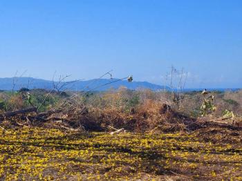 Development Land for sale in Tarcoles, Garabito, Puntarenas, Costa Rica — photo 4