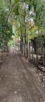 Casa una Planta en venta en Barrio El Cacao, Santa Cruz, Guanacaste, Costa Rica — foto 7