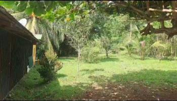 Casa una Planta en venta en Lagunas, Turrubares, San José, Costa Rica — foto 2
