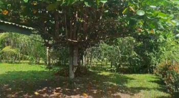 Casa una Planta en venta en Lagunas, Turrubares, San José, Costa Rica — foto 3