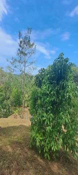 Casa una Planta en venta en Lagunas, Turrubares, San José, Costa Rica — foto 6