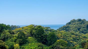 Terreno de 9.494 m2 Con 3 Planteles y Vista al Mar en Vergel de Osa