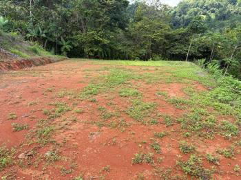 Terreno Para Vivienda en venta en Pavón, Osa, Puntarenas, Costa Rica — foto 2